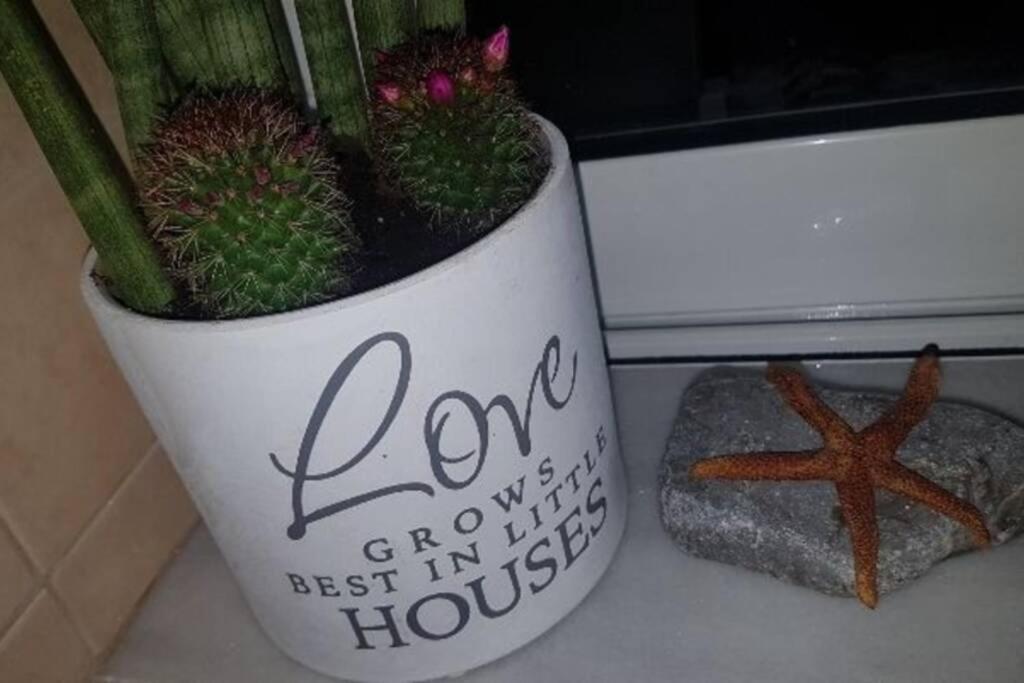 Apartament Pipi'S House Nea Artaki Zewnętrze zdjęcie