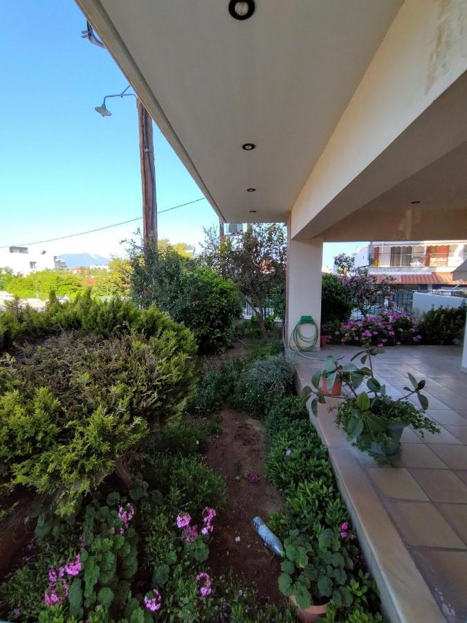 Apartament Pipi'S House Nea Artaki Zewnętrze zdjęcie